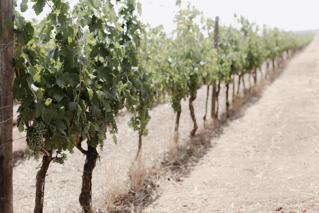 מנדוריה Masseria Cuturi מראה חיצוני תמונה